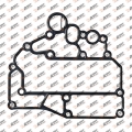 Oil Cooler Gasket