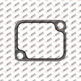 Thermostat gasket