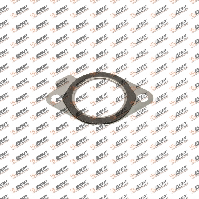 Exhaust manifold gasket, RN450.160, 20984451, 7408148172