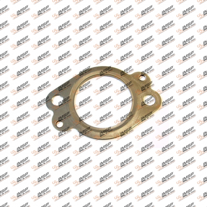 Exhaust manifold gasket, RN450.160, 20984451, 7408148172