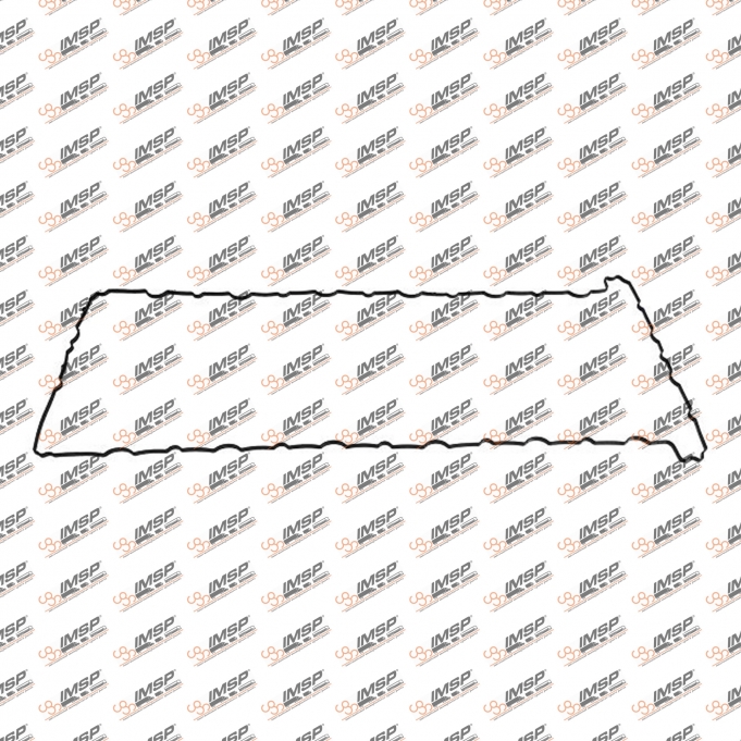 Valve cover gasket, MX11.081, 1900010, 269000, 711132000