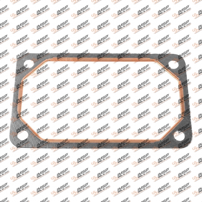 Intake manifold gasket, RN450.151, 3979639, 477314, 390270