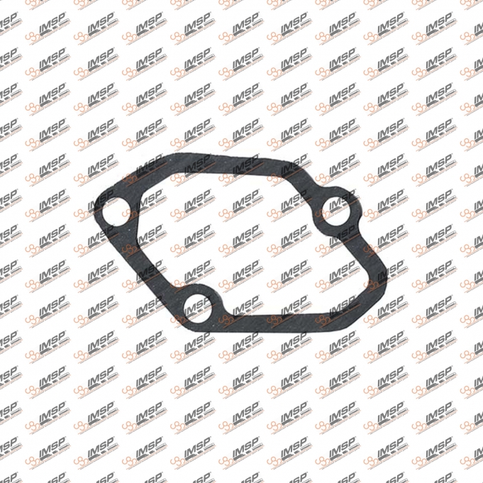 Intake pipe gasket, 402.155, 4421410780, 4011410080, 756830