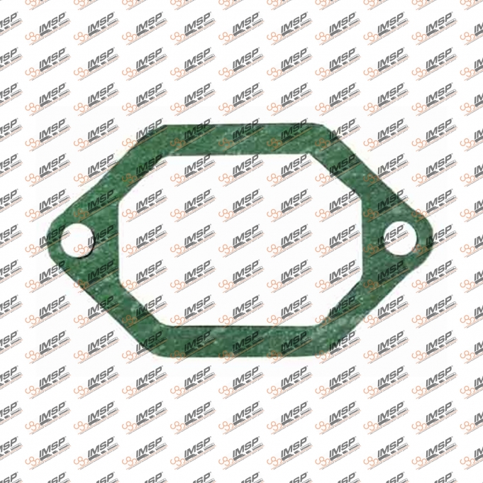 Intake pipe gasket, 401.155, 