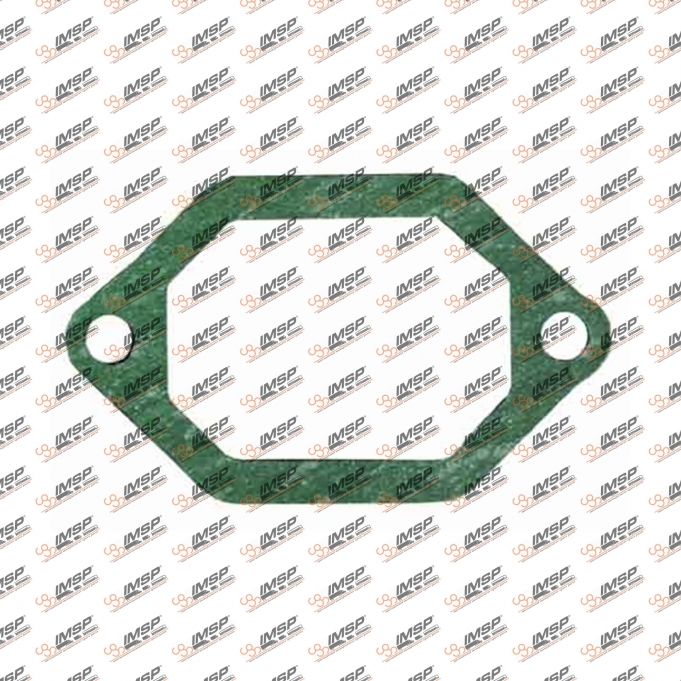 Intake pipe gasket, 401.155, 