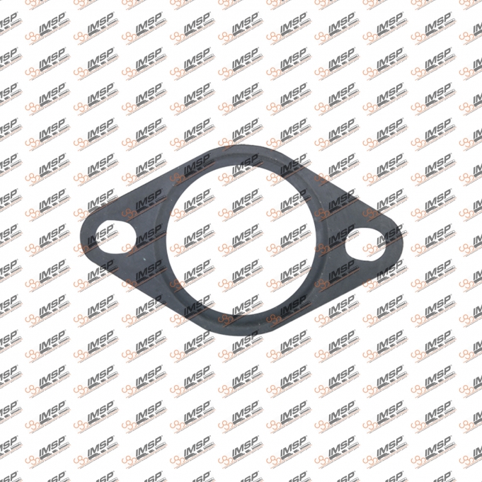 Gasket, 906.203-1, 