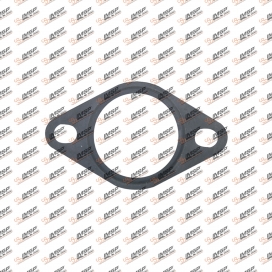 Gasket, 906.203-1, 