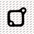 Thermostat gasket