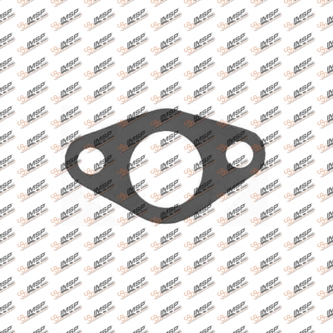 Gasket, 299.201, 