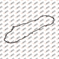 Valve cover gasket, XF105.080, 005520, 713713800, 1656305
