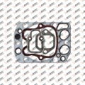 Cylinder repair kit gasket