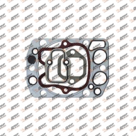 Cylinder repair kit gasket, 401.101, 