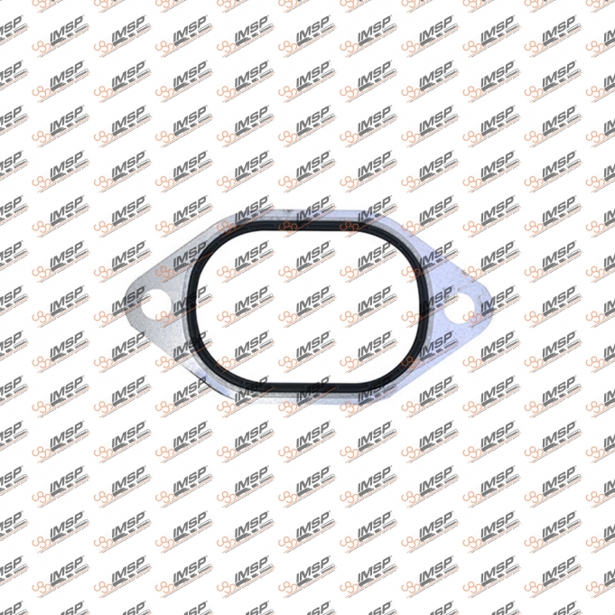 Intake pipe gasket, 442.154, 