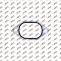 Intake pipe gasket