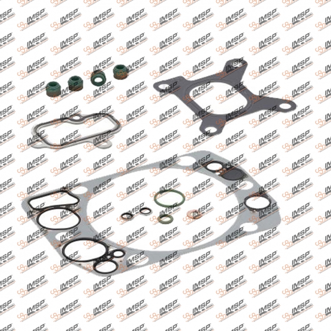Cylinder head gasket kit, 2876.6630-1, 299770