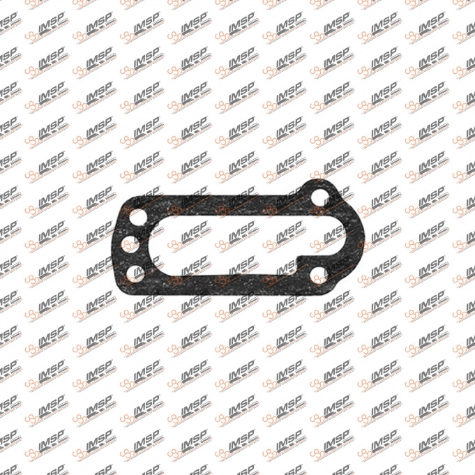 Gasket, 240.300, 