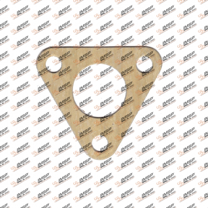 Gasket, 366.407, 