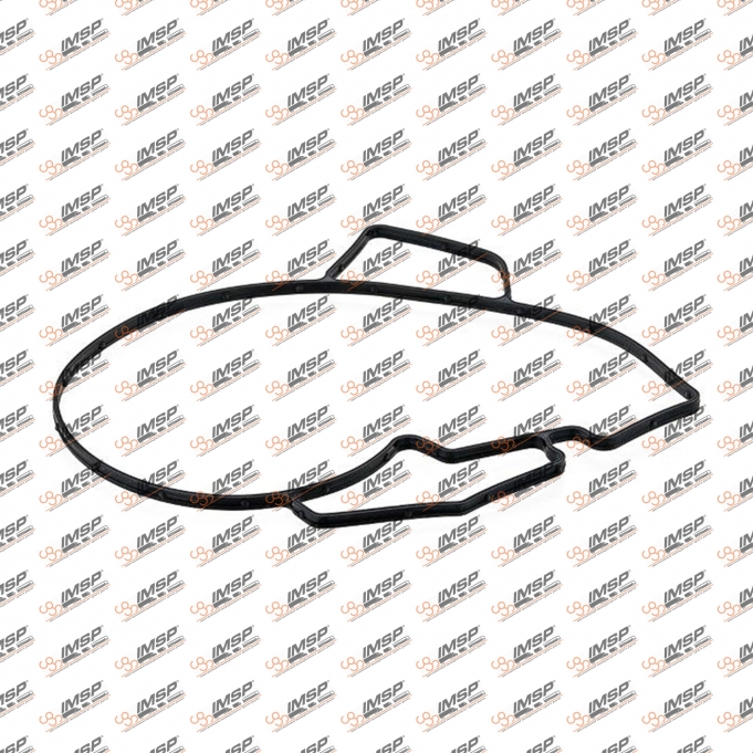 Water pump gasket, 934.131, 704880, 9362010280