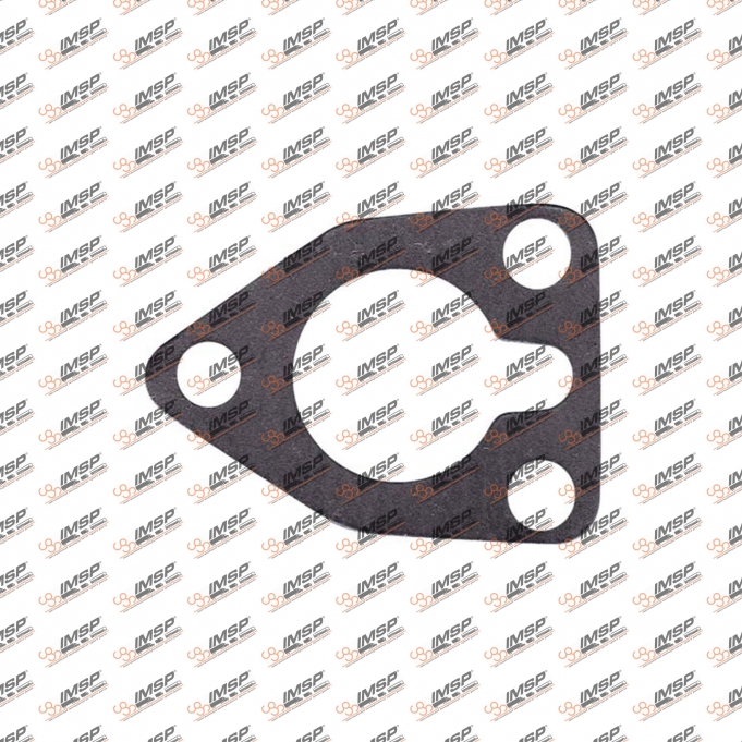 Gasket, 364.405, 