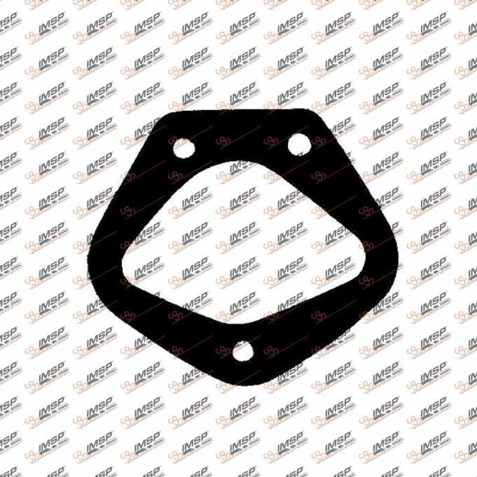Gasket, 355.235, 