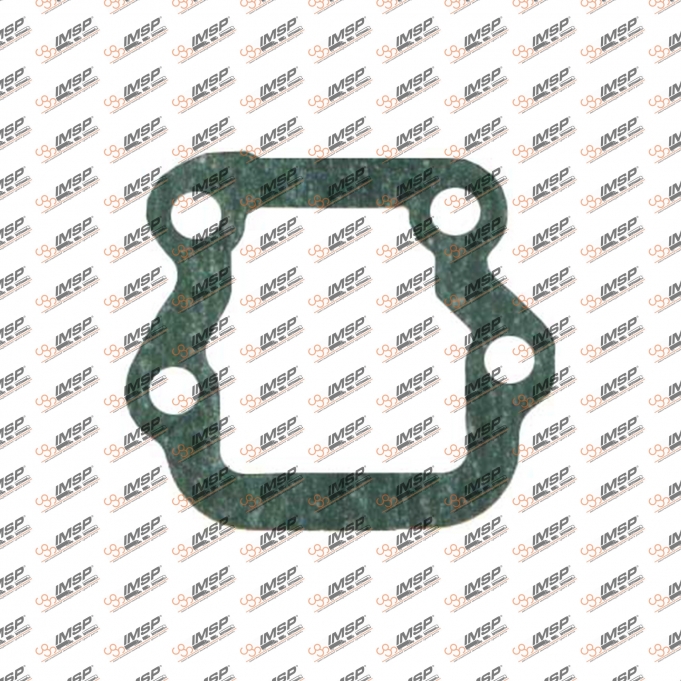 Gasket, 401.450, 