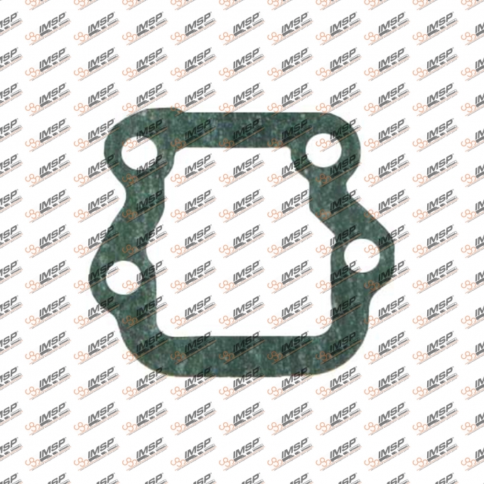 Gasket, 401.450, 