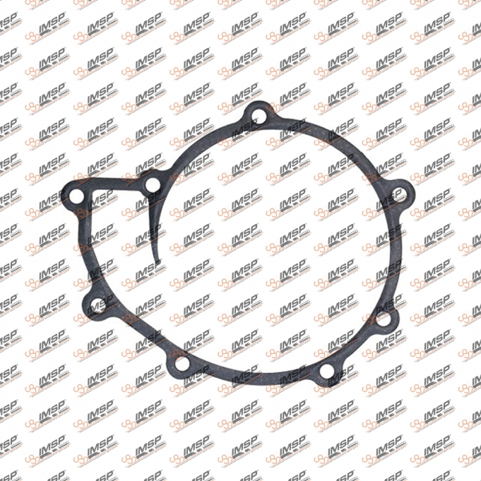 Gasket water pump, 180.131-2, 51069010196