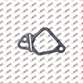 جوان الاكزوز (بارد)