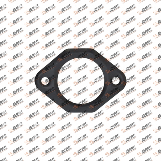 Gasket, 501.403, 