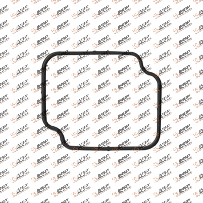 Thermostat gasket, 904.260, 
