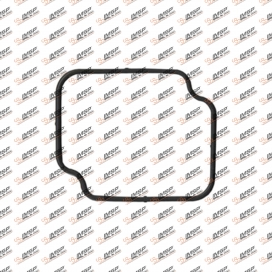 Thermostat gasket, 904.260, 
