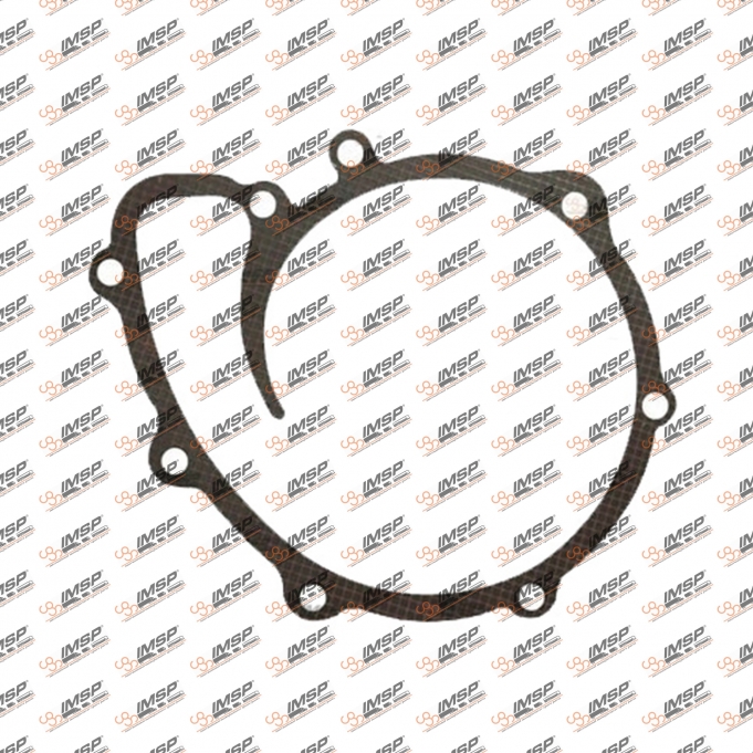 Water pump gasket, 3230.131, 