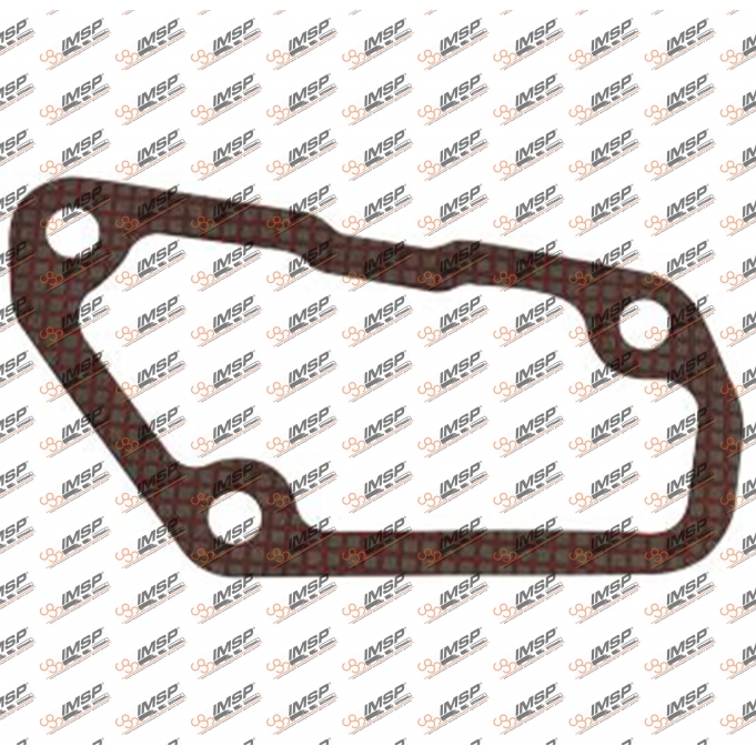 Gasket, 444.301-2, 