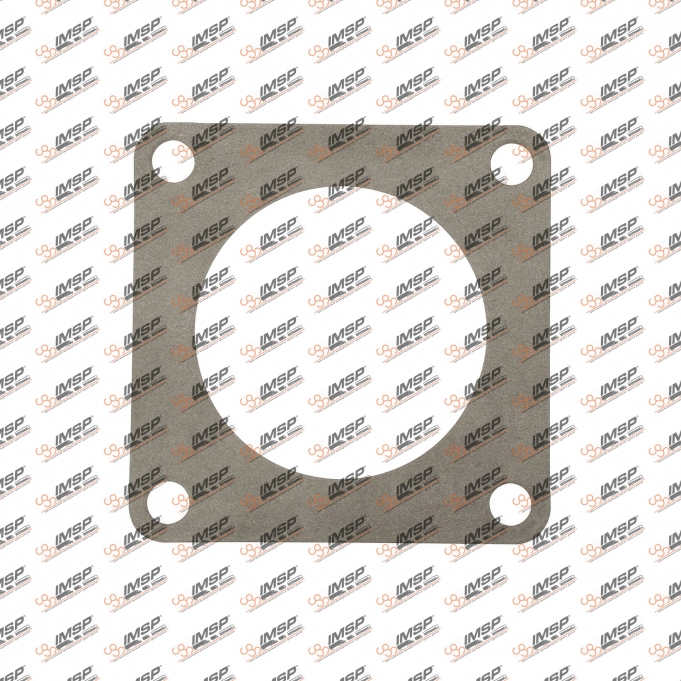 Thermostat gasket