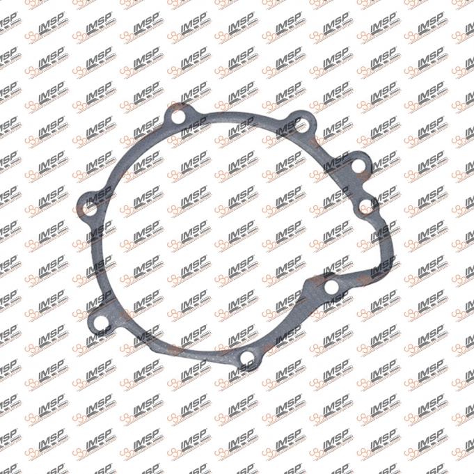 Gasket water pump, 0836.131-2, 51069010184