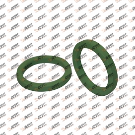 Seal ring, RN450.460, 20451487