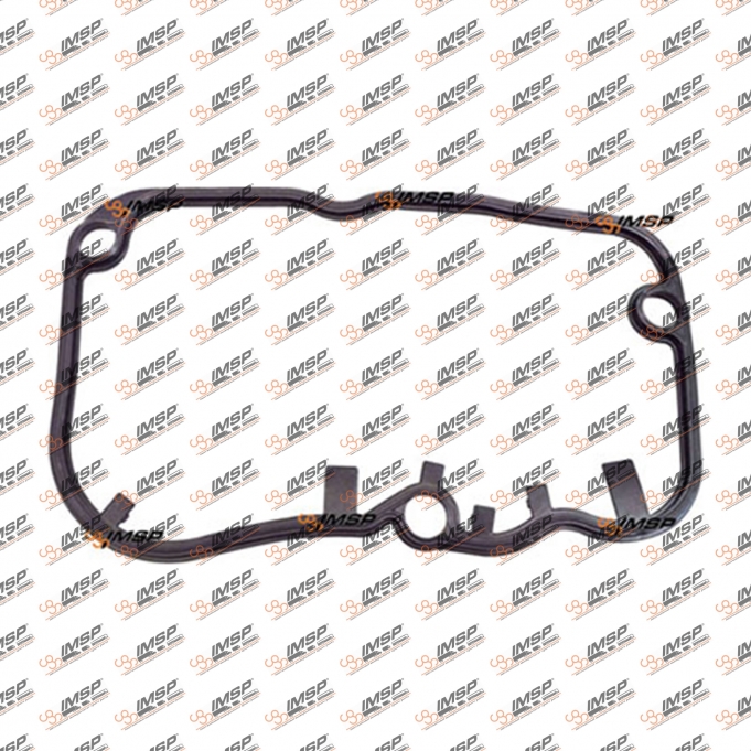 Valve cover gasket, upper, DS12.081, 374420, 1505366, 713838100