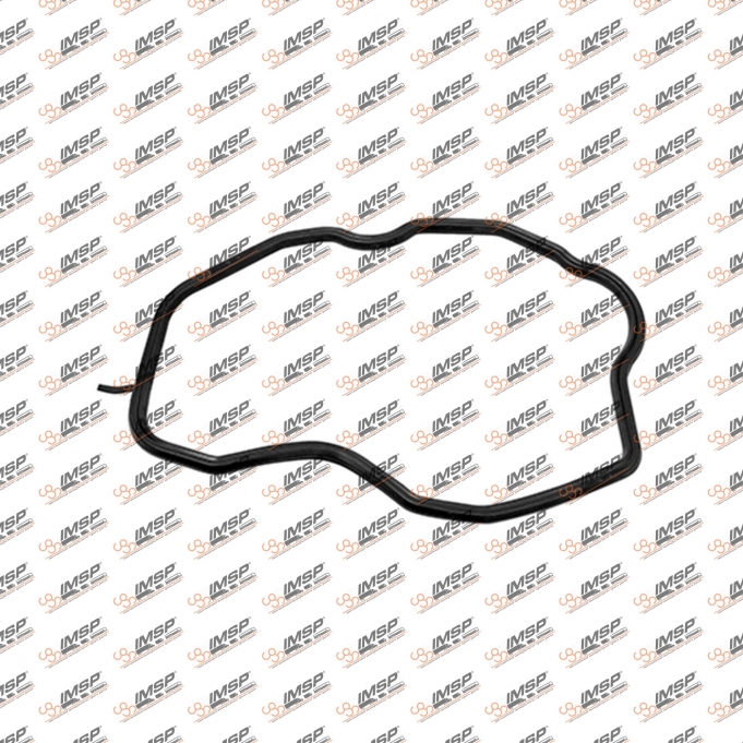 Valve cover gasket, DS12.082, 713837900, 1449542, 379310