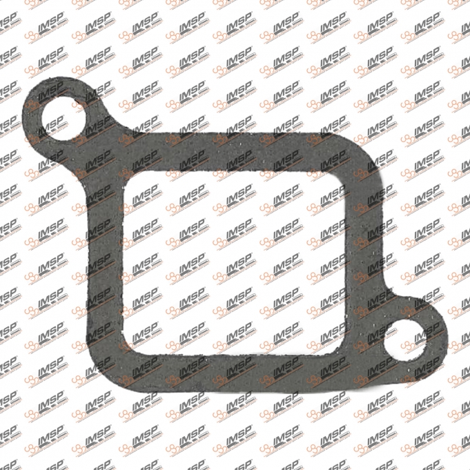 Gasket intake manifold, HS825.150, 712905700, 0537152, 0753674