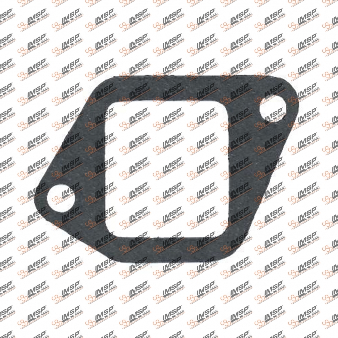 Gasket intake manifold, DH825.150, 712641210, 493550, 0754155