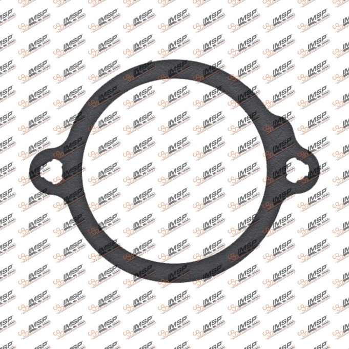 Gasket, RNDX5.300-1, 