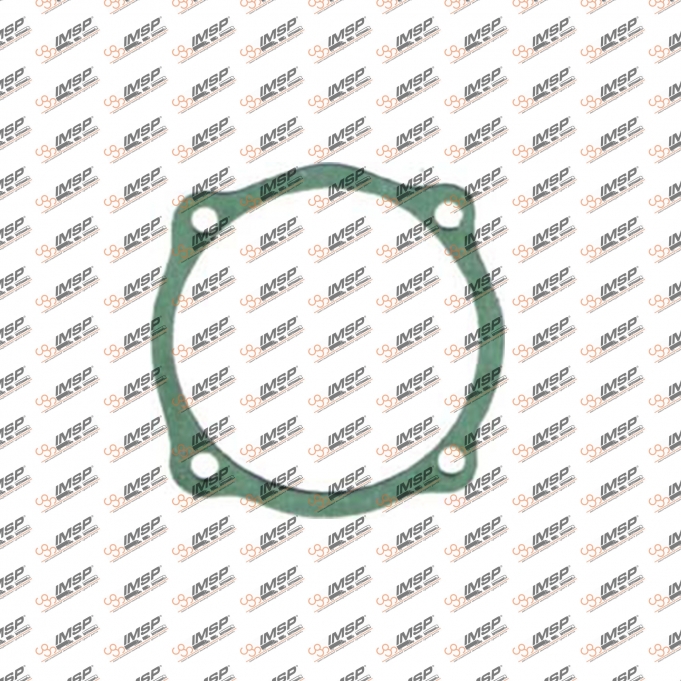Gearbox gasket, 919.707, 