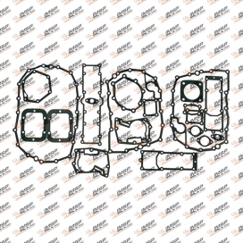 Gearbox repair kit gasket, 917.100, 02081109, 298004360