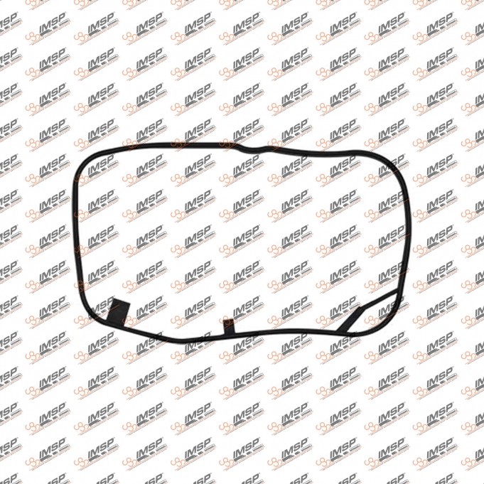 Valve Cover Gasket, DC12.084, 713517700, 1401984, 125840