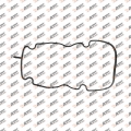 Valve Cover Gasket, DL12.081, 060660, 713518100, 1414422