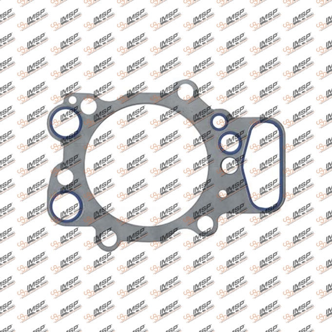 Cylinder head gasket, D12.050, 613488000, 1403260, 1444941