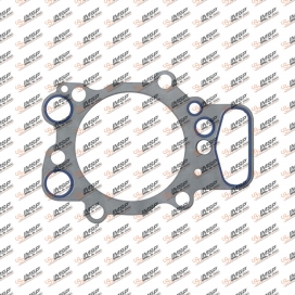 Cylinder head gasket, D12.050, 613488000, 1403260, 1444941