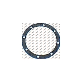 Rear axle gasket, 345.180, 81965010673, 3893340080