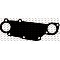 Water pump gasket, 300.132, 