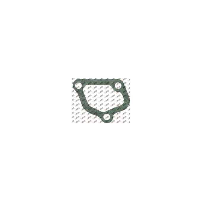 Gasket, 300.079, 